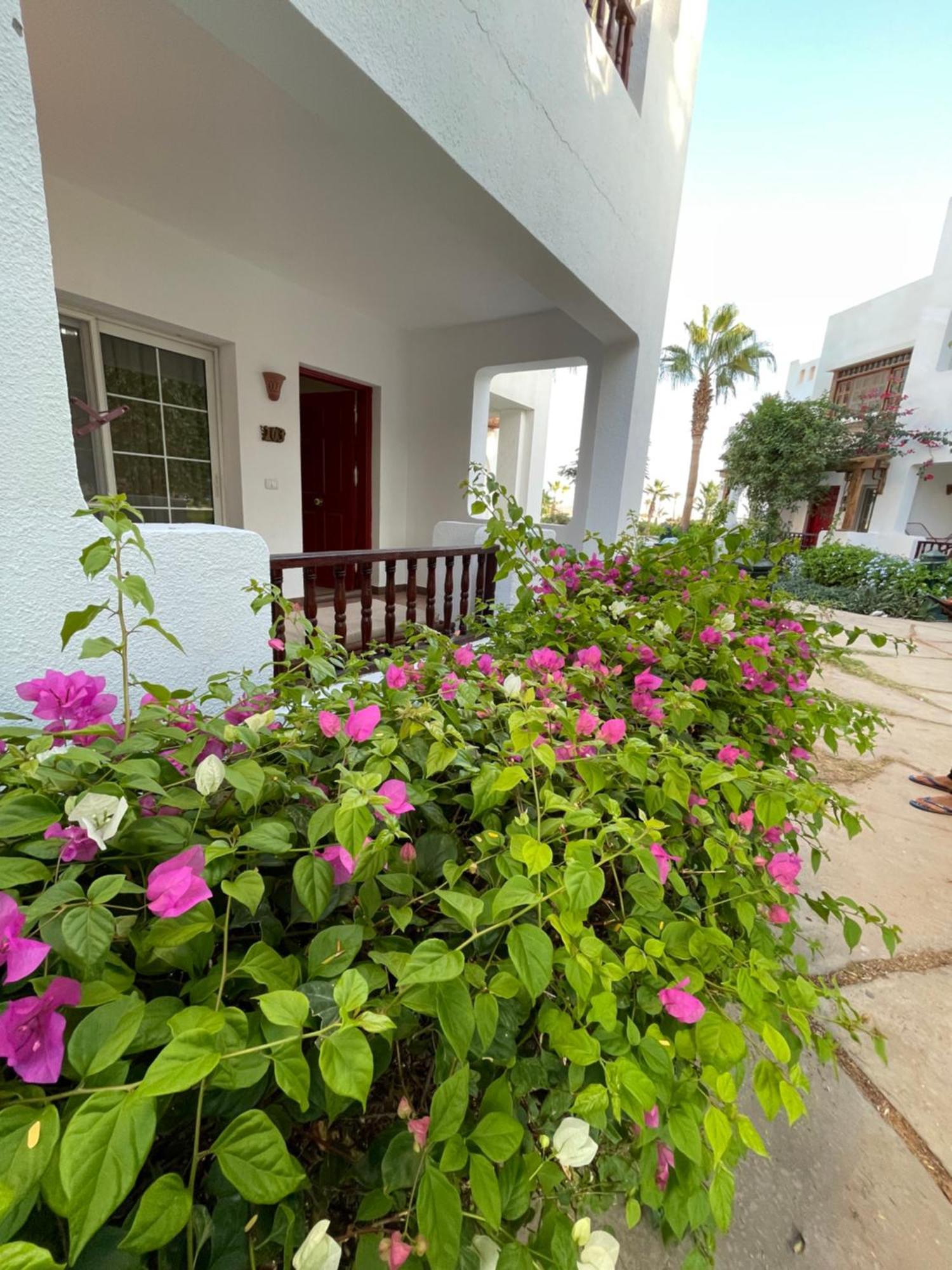 Delta Sharm Apartments With Free Internet Wi-Fi Eksteriør bilde